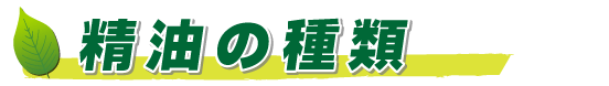 精油の種類 除菌スプレー Germ Guard ASK80