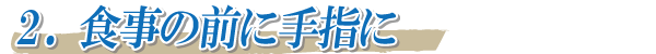 用途2_食事の前に手指に!
