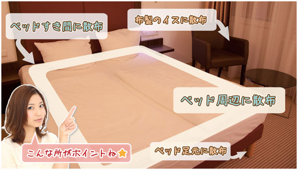 クリックすると拡大できます 南京虫予防スプレー Bed-Bug Buster Travel ベッドにスプレーする場所
