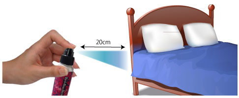 南京虫予防スプレーBed-Bug Buster Travel の使用例