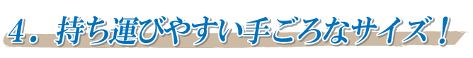 持ち運びやすい手ごろなサイズ！