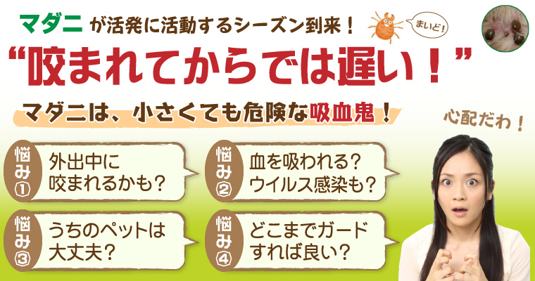 咬まれてからでは遅い!マダニは小さくても危険な吸血鬼「バグガードDN(グリーン)」バナー