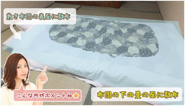 クリックすると拡大できます 家ダニからしっかりガード「バグガードDN(イエロー)室内用」布団畳にスプレーする場所