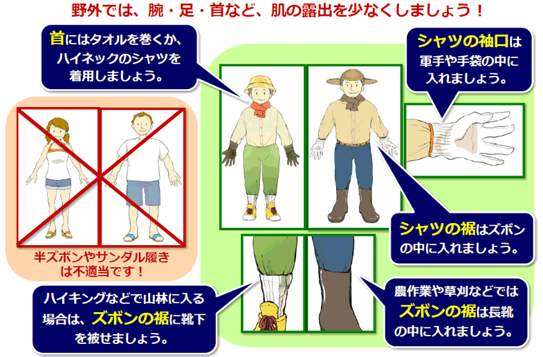 マダニから身を守る服装