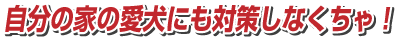 自分の家の愛犬にも対策しなくちゃ!