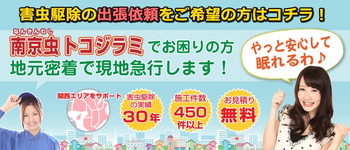 トコジラミ(南京虫)駆除の出張依頼はコチラ